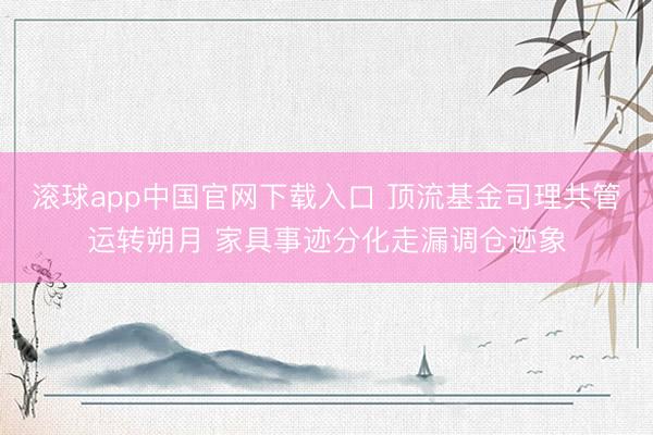 滚球app中国官网下载入口 顶流基金司理共管运转朔月 家具事迹分化走漏调仓迹象