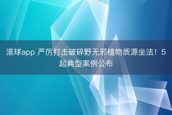 滚球app 严厉打击破碎野无邪植物质源坐法！5起典型案例公布