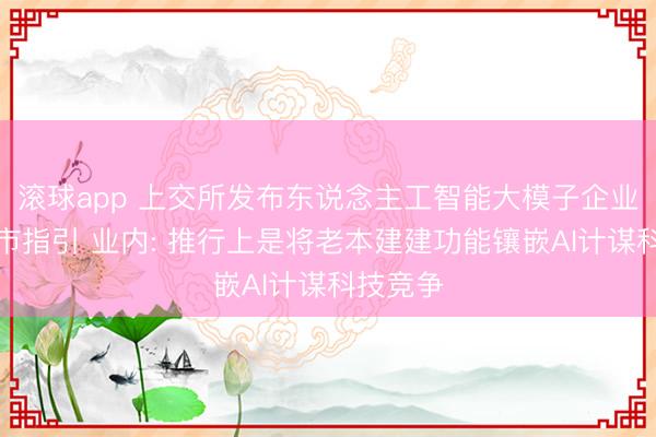 滚球app 上交所发布东说念主工智能大模子企业遑急上市指引 业内: 推行上是将老本建建功能镶嵌AI计谋科技竞争